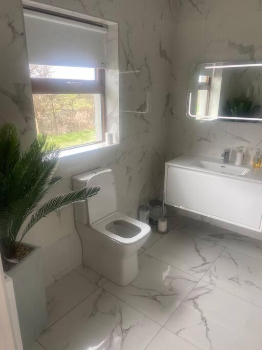 Modern Apartment At Croagh Patrick Westport Luaran gambar